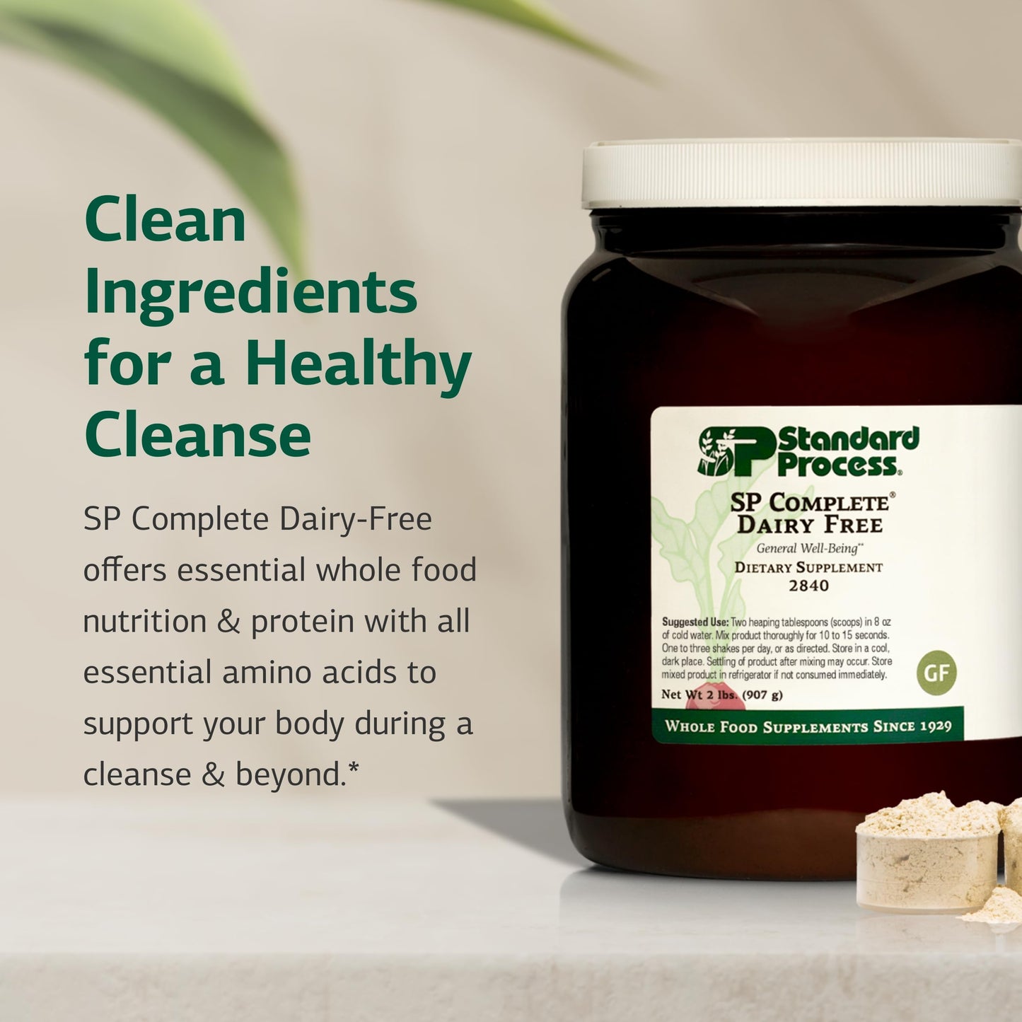Standard Process SP Complete Dairy-Free Rice Protein Powder – Gut, Liver & Immune Support | Vegan & Gluten-Free | 2 lb