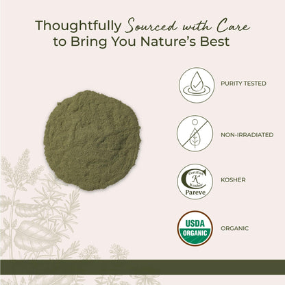 Starwest Botanicals Organic GreenPower Blend - 1 lb Green Superfood Powder | Non-GMO