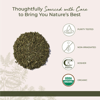 Starwest Organic Nettle Leaf – Dried Nettle Tea, Caffeine Free, 1 lb