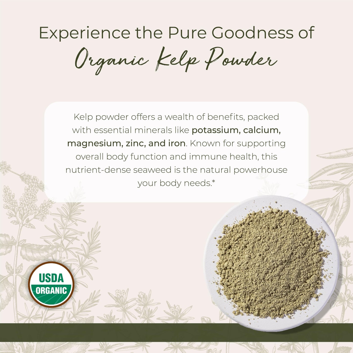 Starwest Botanicals Organic Kelp Powder – Kosher, Non-GMO, 16 oz