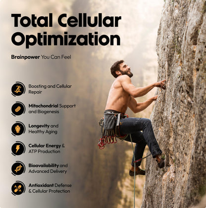 Stellar Health Clinical Mitochondrial Complex – Shilajit & NAD+ Booster with Ubiquinol CoQ10, NR, PQQ, ALA, Astaxanthin | 60 Vegan Capsules