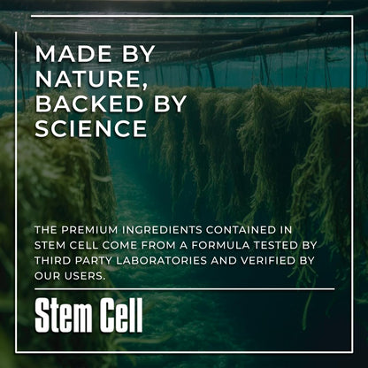 Premium Stem Cell Supplements 1,000mg (240 Caps) – Boost Immunity, Reduce Joint Soreness, Anti-Aging & Longevity with Spirulina & Chlorella