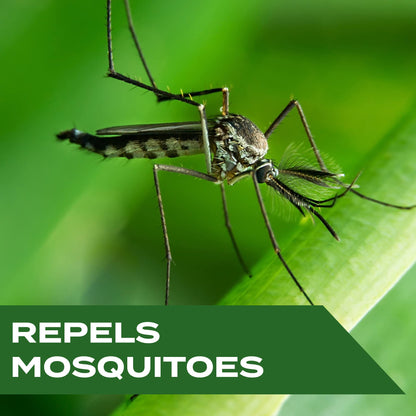 STEM Repels Mosquitoes - Botanical Insect Repellent Spray (4 fl oz, Pack of 3)