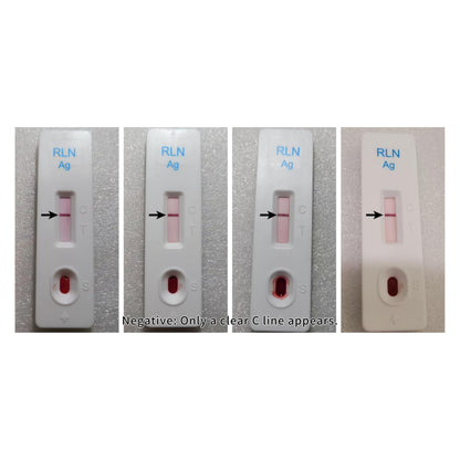 Dog Pregnancy Test Kit at Home - No Blood Draw, 5-Min Results, 98% Reliable