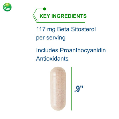Nutra BioGenesis Sterol 117 | Plant Sterol Supplement | 60 Vegetarian Capsules