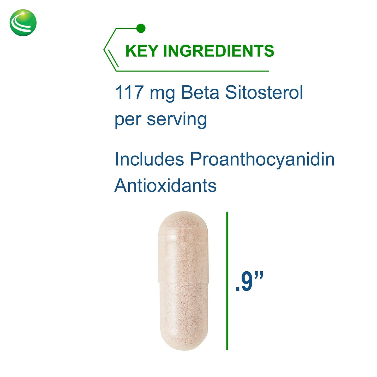 Nutra BioGenesis Sterol 117 | Plant Sterol Supplement | 60 Vegetarian Capsules