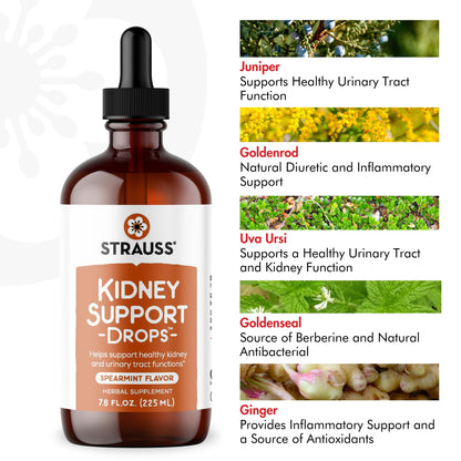 Strauss Naturals Kidney Support Drops for Men and Women – Vegan, Non-GMO, Spearmint Flavor, 225 ml