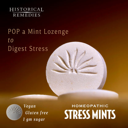 Historical Remedies Stress Mints (1 Pack) - Homeopathic Lozenges for Stress & Digestion | Organic Peppermint, Vegan & Gluten-Free