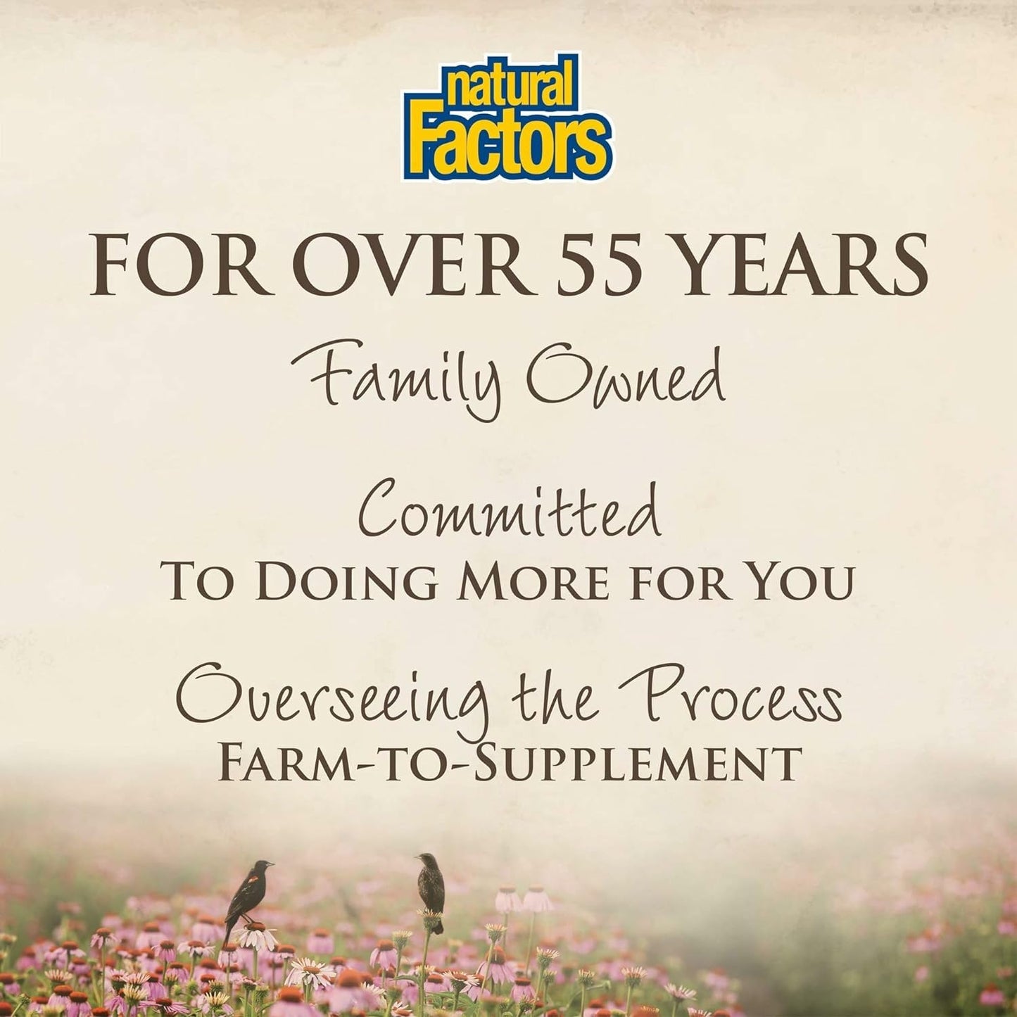 Stress-Relax Melatonin 5 mg by Natural Factors | Natural Sleep Aid