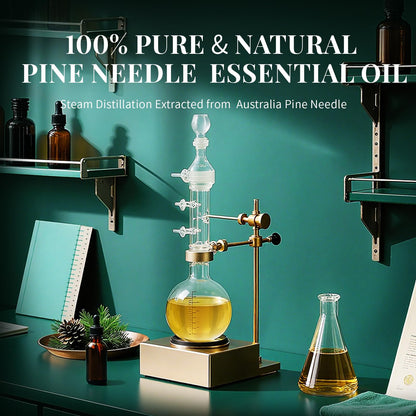 SU JUABA Pine Needle Essential Oil - 4 fl oz / 118 ml - 100% Natural Aromatherapy for Diffuser, Skin, Hair, Candles & Soap
