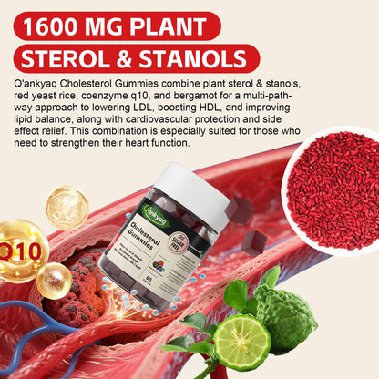 Cholesterol Lowering Gummies with Plant Sterols & Stanols – LDL Support