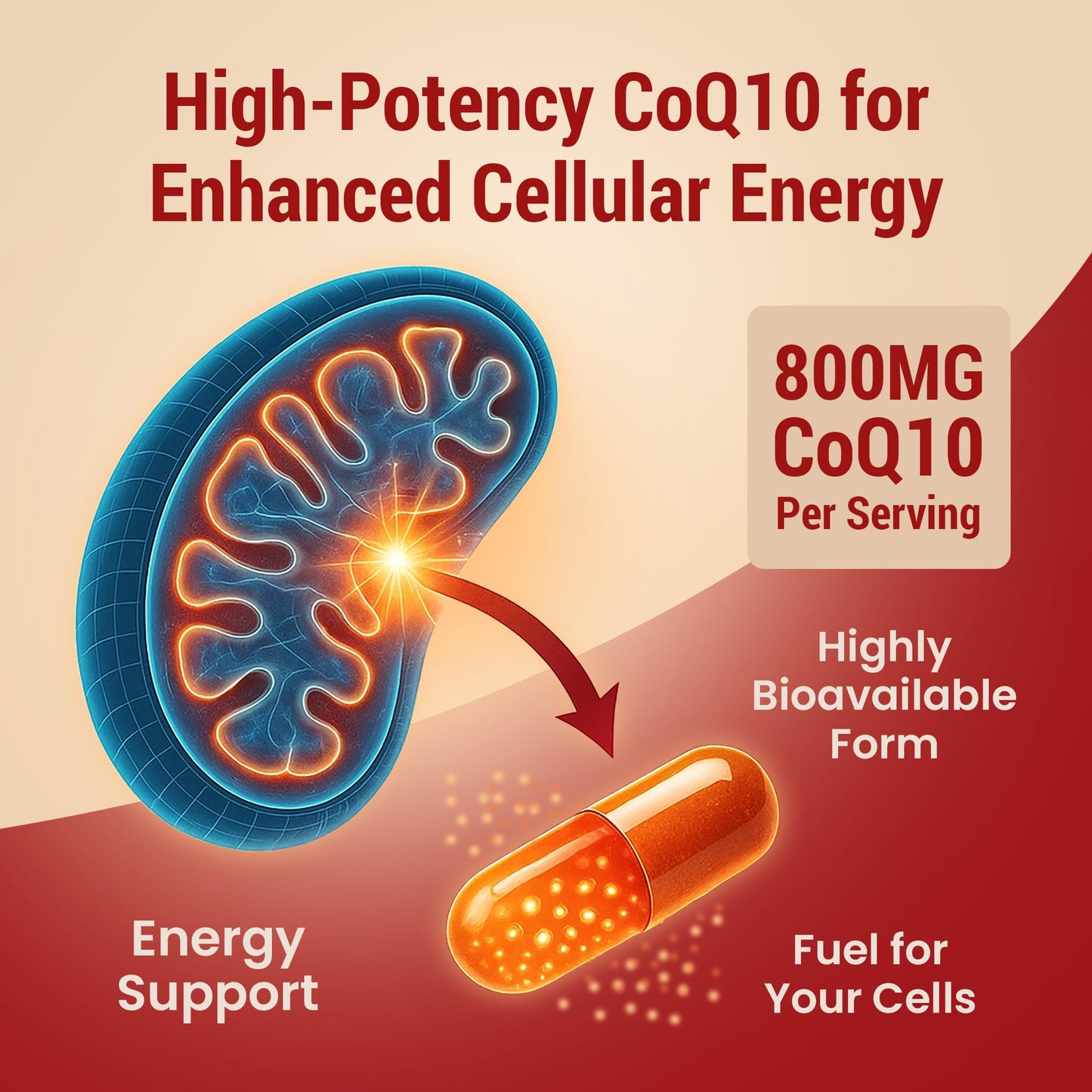 Sundhed Natural CoQ10 800mg – 60 Capsules | Extra Strong Antioxidant