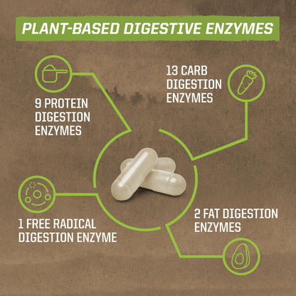 Sunwarrior Digestive Enzymes Probiotic | Plant Based & Vegan | Enzorb