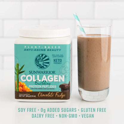 Sunwarrior Vegan Collagen Building Powder – Plant-Based Protein Peptides with Biotin, Vitamin C, Hyaluronic Acid | Dairy Free, Gluten Free | Chocolate