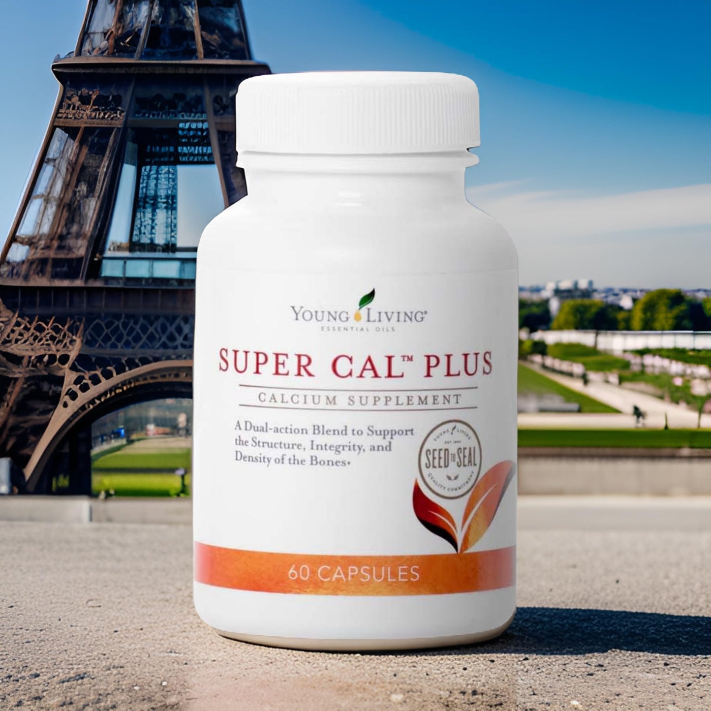 Young Living Super Cal Plus 60 Capsules | Calcium, Magnesium & Vitamins D & K for Bone Health