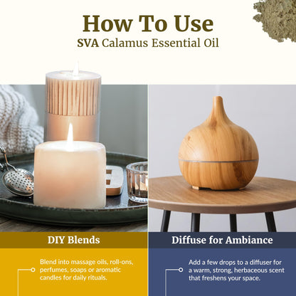 SVA Calamus Essential Oil – 1 Fl Oz | 100% Natural Calamus for Diffuser, Hair & Skin