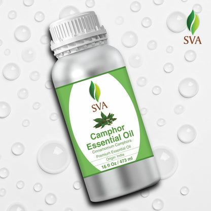 SVA Camphor Essential Oil – 16 oz | 100% Natural Camphor Oil for Diffuser, Hair & Skin Care