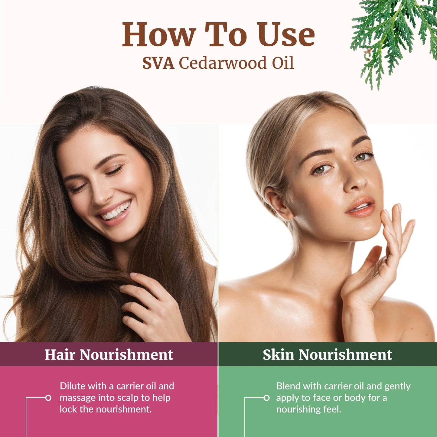 SVA Cedarwood Essential Oil 4oz – 100% Natural Cupressus Funebris