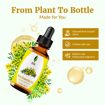 SVA Rue Essential Oil 1oz – 100% Natural Rue Oil for Diffuser, Face & Skin Care, Hair Care, Aromatherapy, Massage | Dropper