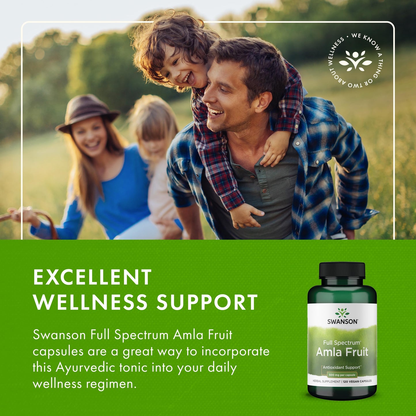 Swanson Full Spectrum Amla Fruit (Indian Gooseberry) – 2 Pack, 120 Capsules (500 mg)