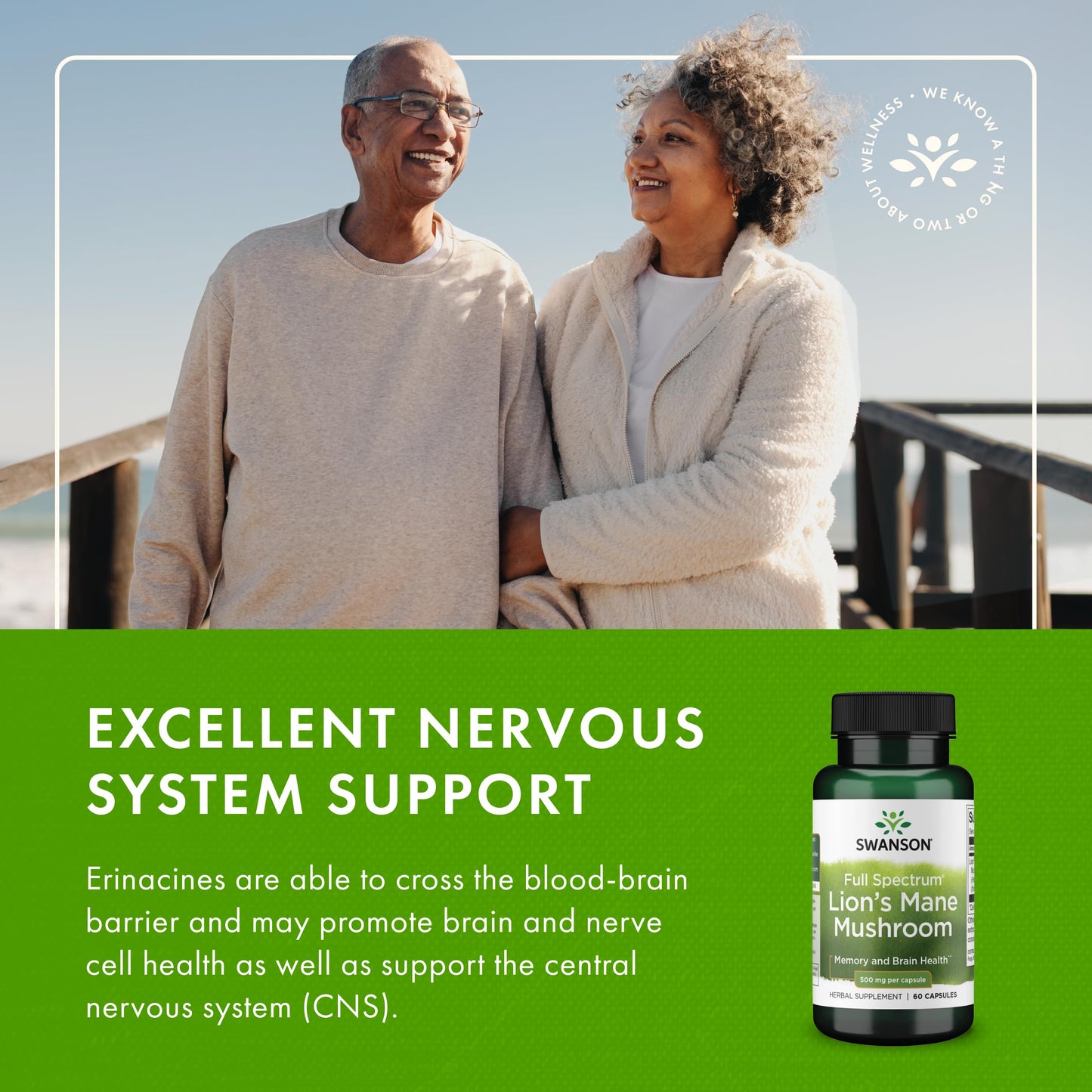 Swanson Lion's Mane Mushroom - Brain Support & Focus (4 Bottles, 60 Capsules Each)