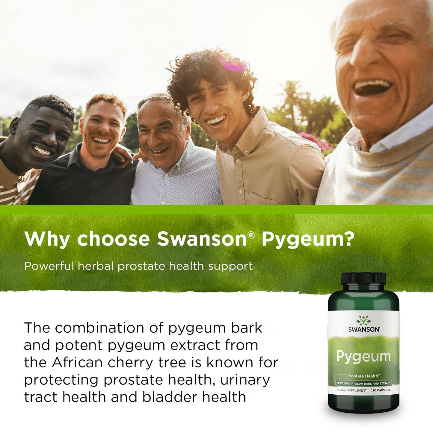 Swanson Pygeum - Men's Health Herbal Supplement (3-Pack, 120 Capsules, 400 mg)
