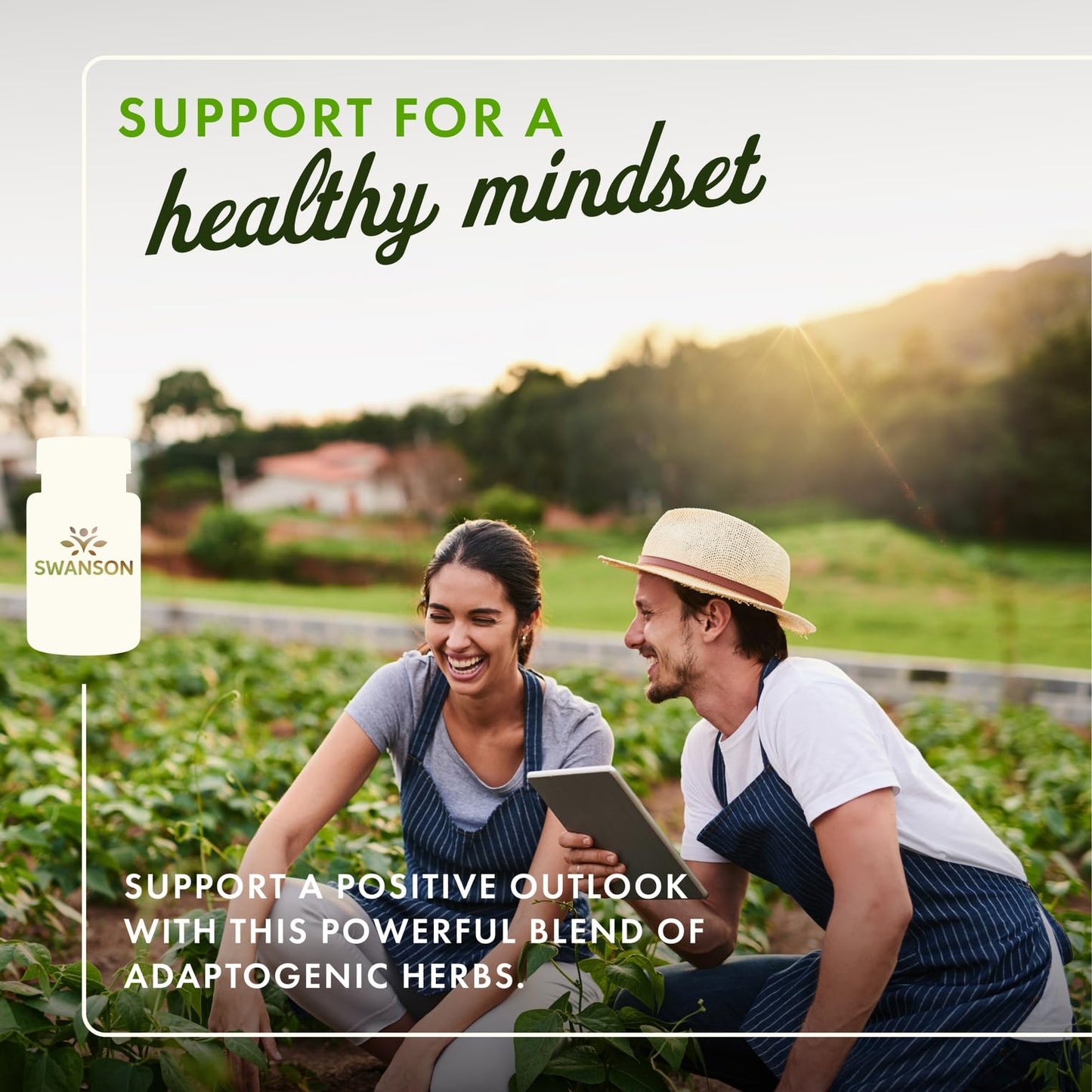 Swanson Rhodiola Ashwagandha Ginseng Complex – Mood, Energy & Immune Support | 60 Capsules (3 Pack)