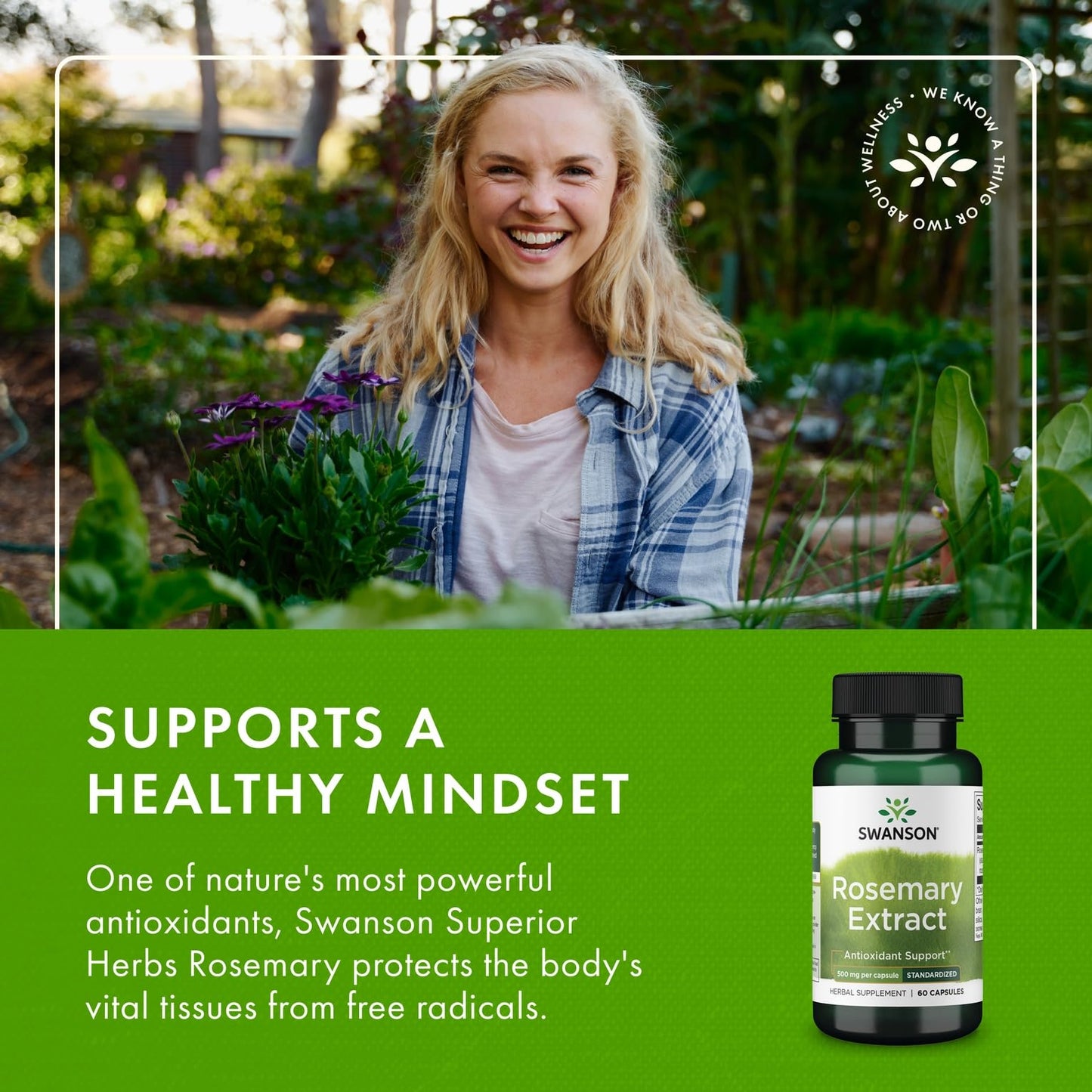 Swanson Rosemary Extract - Standardized 500 mg (60 Caps) - 2 Pack