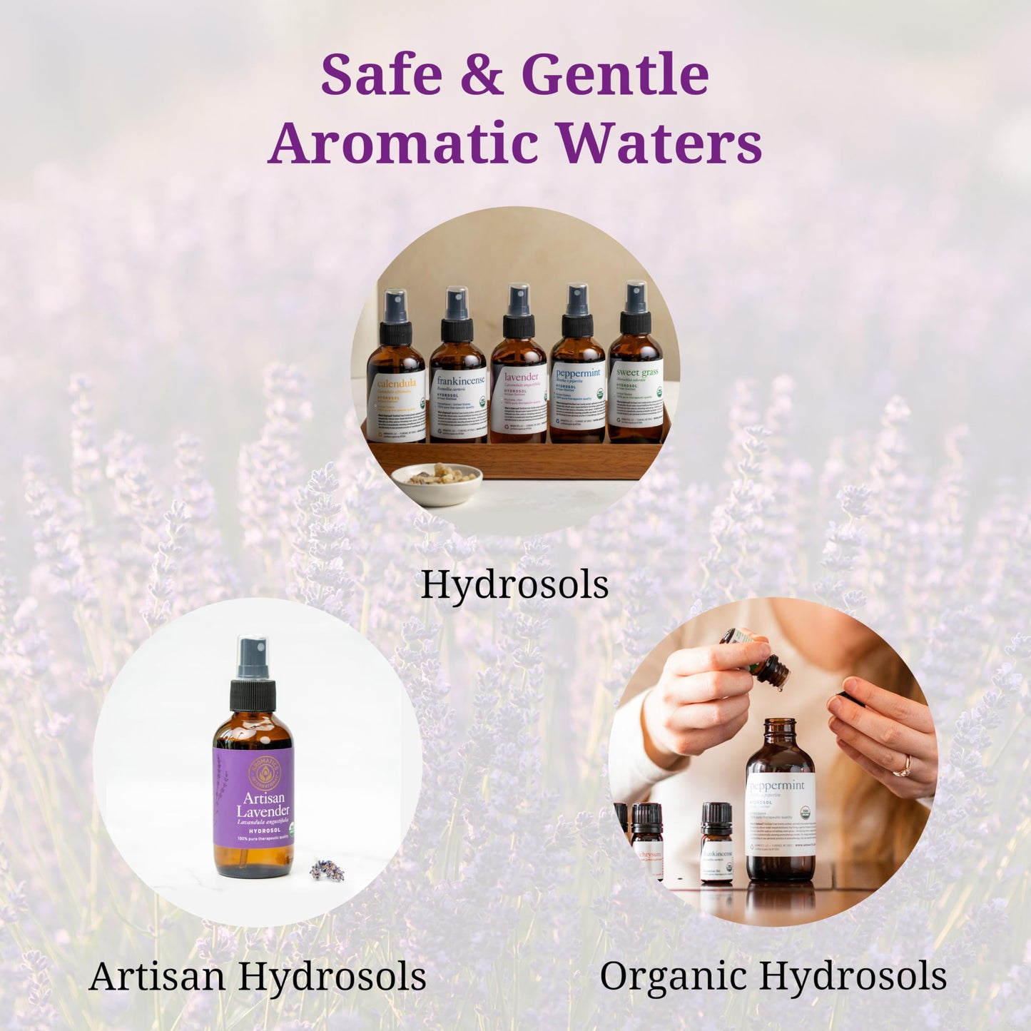 Aromatics International Sweet Grass Hydrosol 100ml | Fresh Home Aromatic Spray