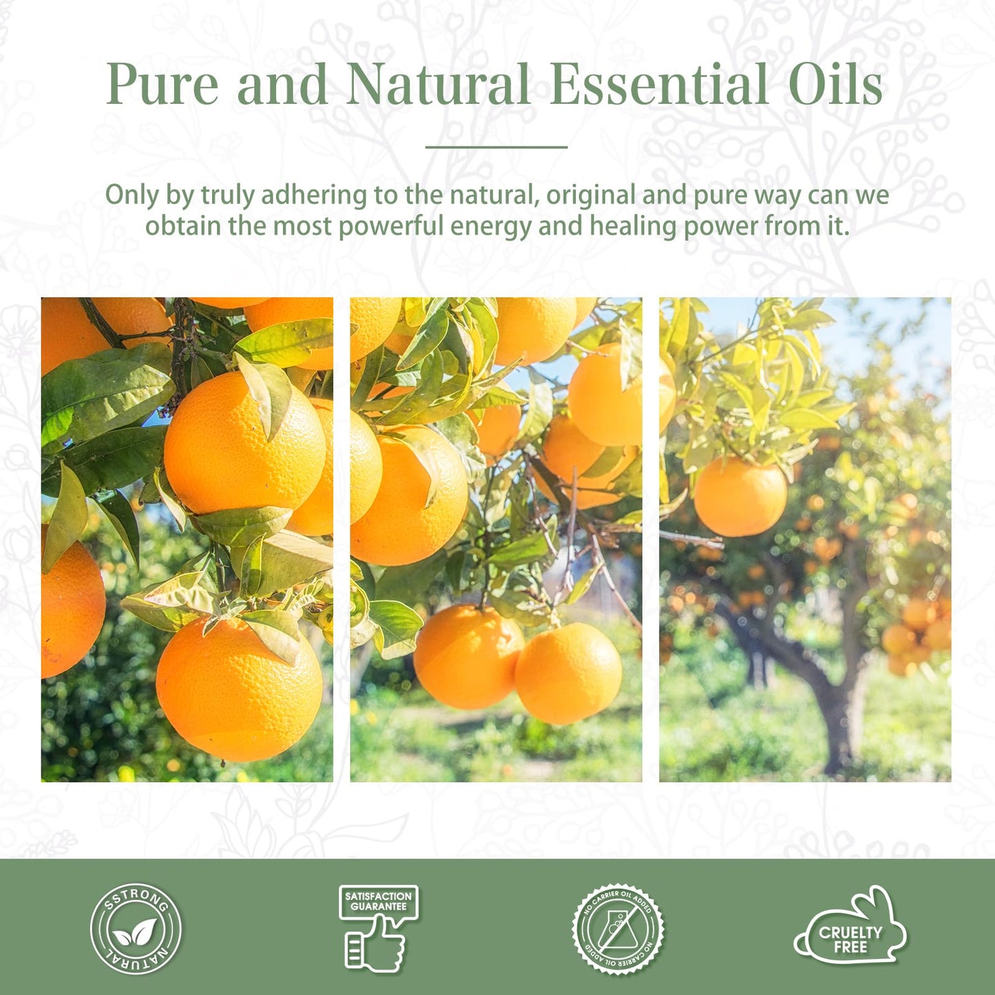 Sweet Orange Essential Oil 100ml | PHATOIL Aromatherapy for Diffuser, DIY Soap, Candle & Bath Bombs
