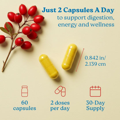 Swiss Activa+ Labs Organic 7-in-1 Berberine Supplement | 600mg Berberine HCl + Cinnamon, Turmeric, Ginger, ACV | Metabolic, Heart & Digestive Support | Vegan, Non-GMO | 30-Day Supply