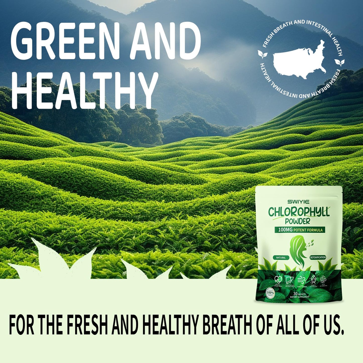 Swiyie Chlorophyll Powder – 100mg for Drinking (10g x 30 Packets) – Detox & Gut Support