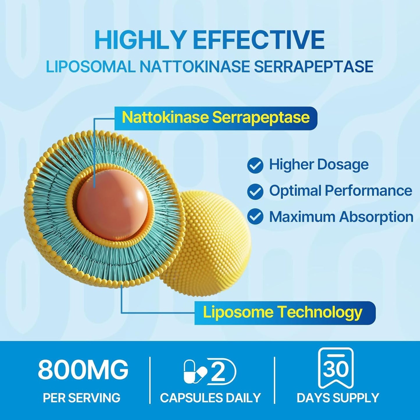 Liposomal Nattokinase 12,000 FU & Serrapeptase 360,000 SPU – Enzyme Supplement (60 Capsules)