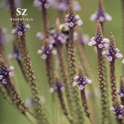 Sz Essentials Vervain Oil | Vegan, Spiritual Protection & Magick