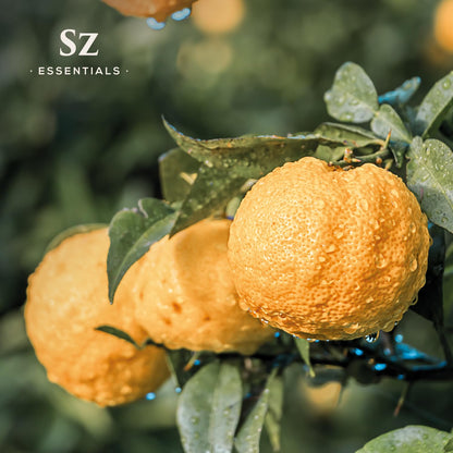 Sz Essentials Yuzu Essential Oil – 100% Pure & Natural, Japan, 5ml