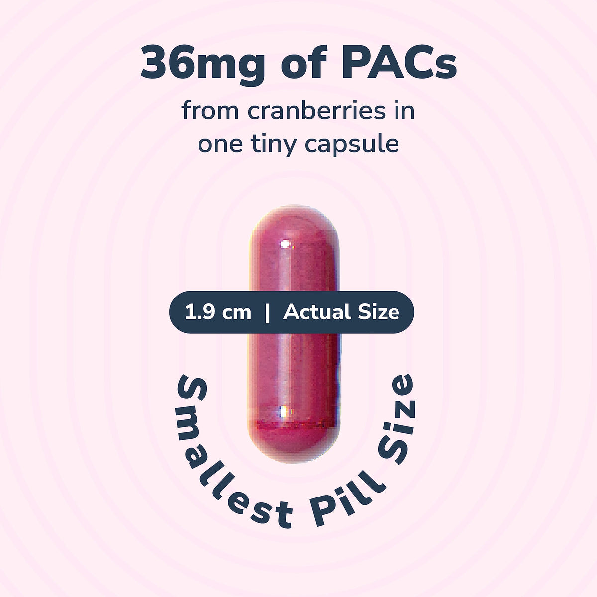 Szio+ Utiva Cranberry PACs – 36 mg PACs Clinically Studied for UTI Prevention | Cranberry Extract Pills for Bladder Health, 90 Veggie Capsules