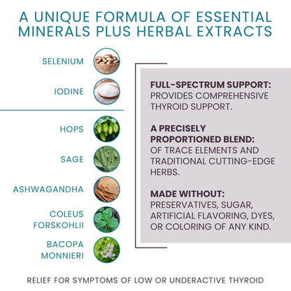 T-Balance Plus: Natural Thyroid Support for Women & Men – Iodine, Selenium & 5 Herbs (60 Capsules)