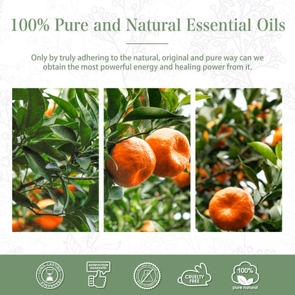 Tangerine Essential Oil 30ml – PHATOIL Pure Aromatherapy for Diffusers, DIY Soap, Candle, Bath Bombs