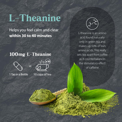 Dragon Herbs Tao in a Bottle Capsules – Stress, Mood & Focus Support (60 Capsules, 450 mg Each)