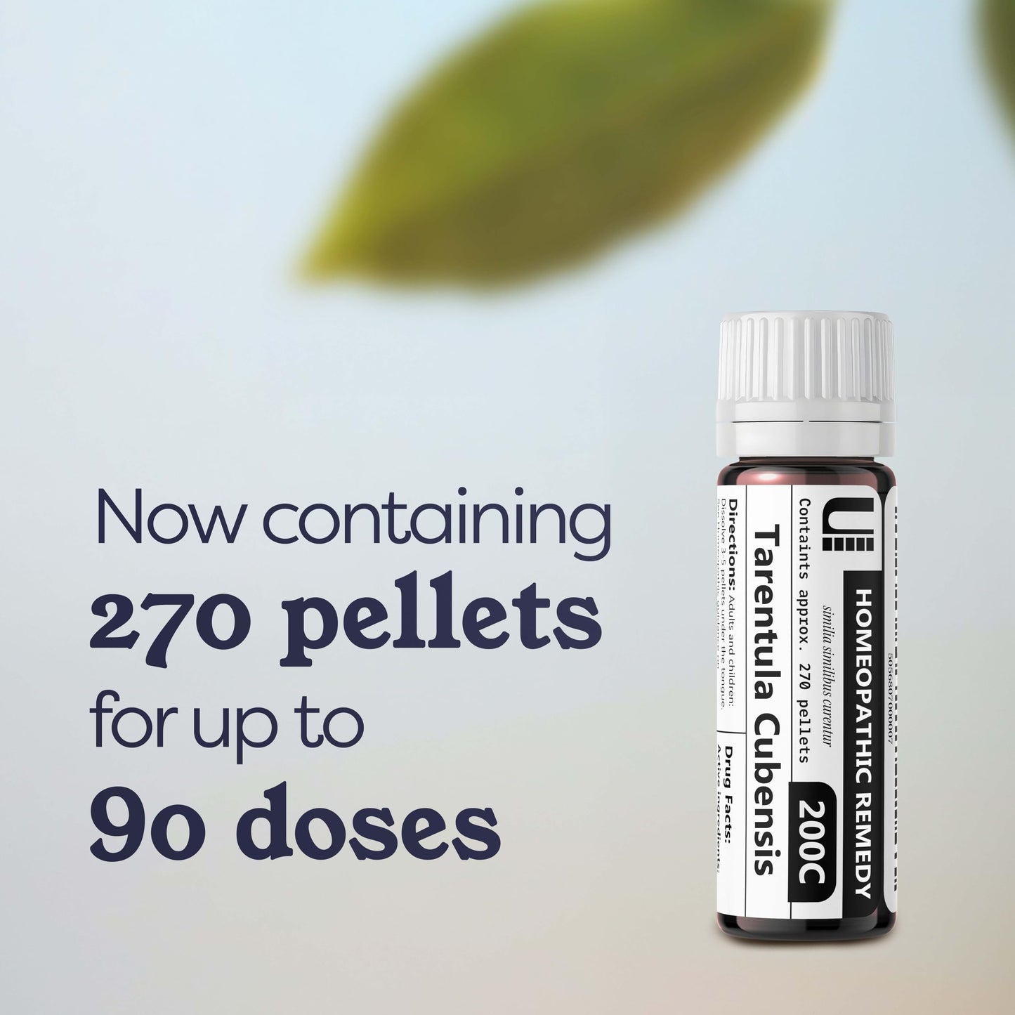 Tarentula Cubensis 200C Homeopathic Remedy – 270 Pellets (Lactose-Free)