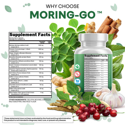 Moringa Powder Capsules + Turmeric Moringa Leaf – Clean Nutra Moring-Go