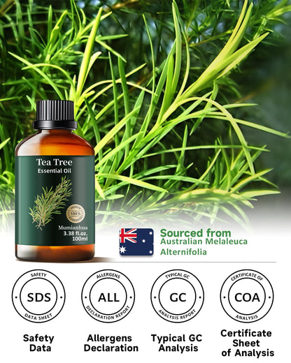Tea Tree Essential Oil Pure Mumianhua – Natural Tea Tree Oil for Diffuser, Skin, Hair & DIY 3.38 Fl Oz