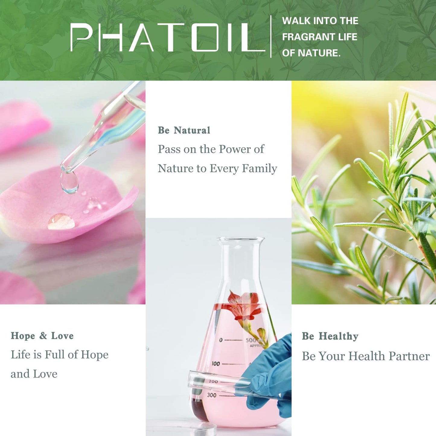 Tea Tree Essential Oil 100ml | PHATOIL Pure Aromatherapy for Diffuser, Humidifier & DIY Projects