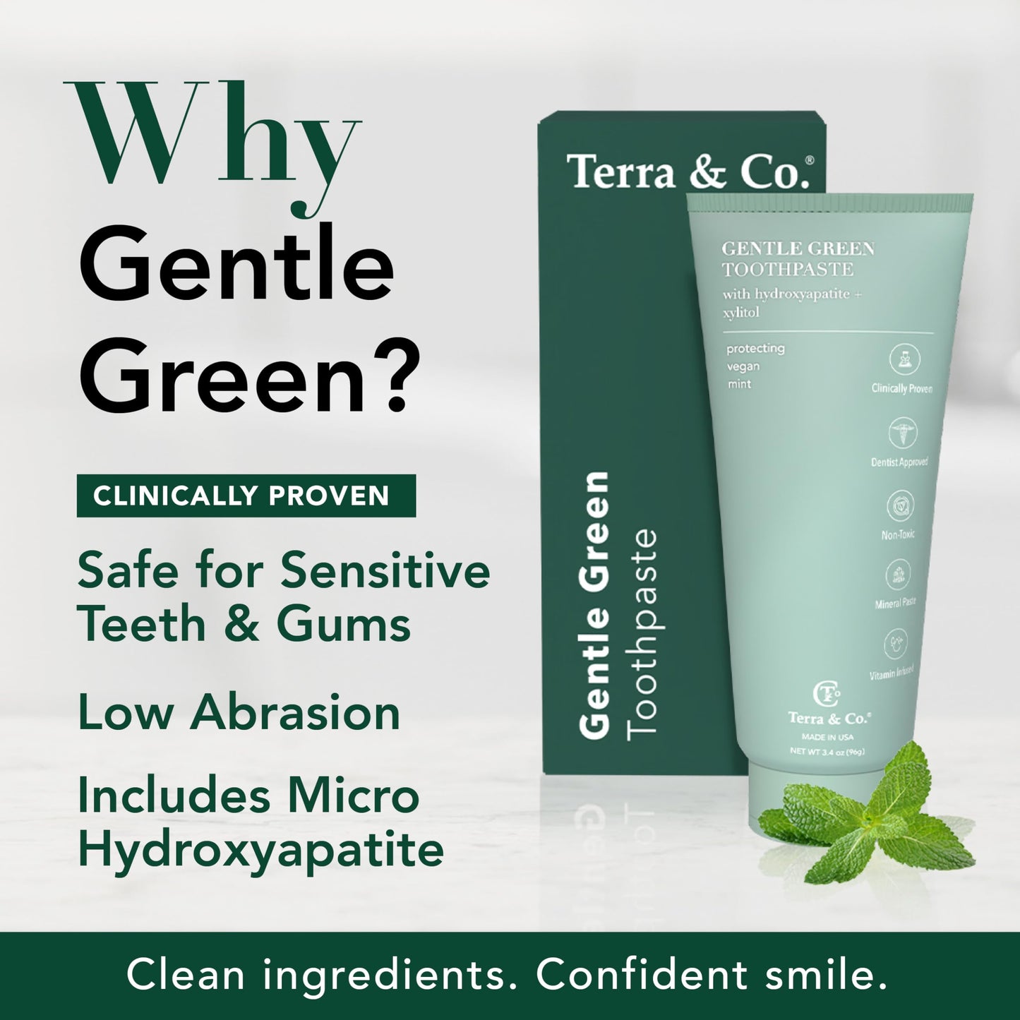 Terra & Co. Gentle Green Micro-Hydroxyapatite Toothpaste for Sensitive Teeth – USA-Made, Vitamin B12, Fluoride-Free, Vegan, SLS-Free – Mint, 3.4 oz