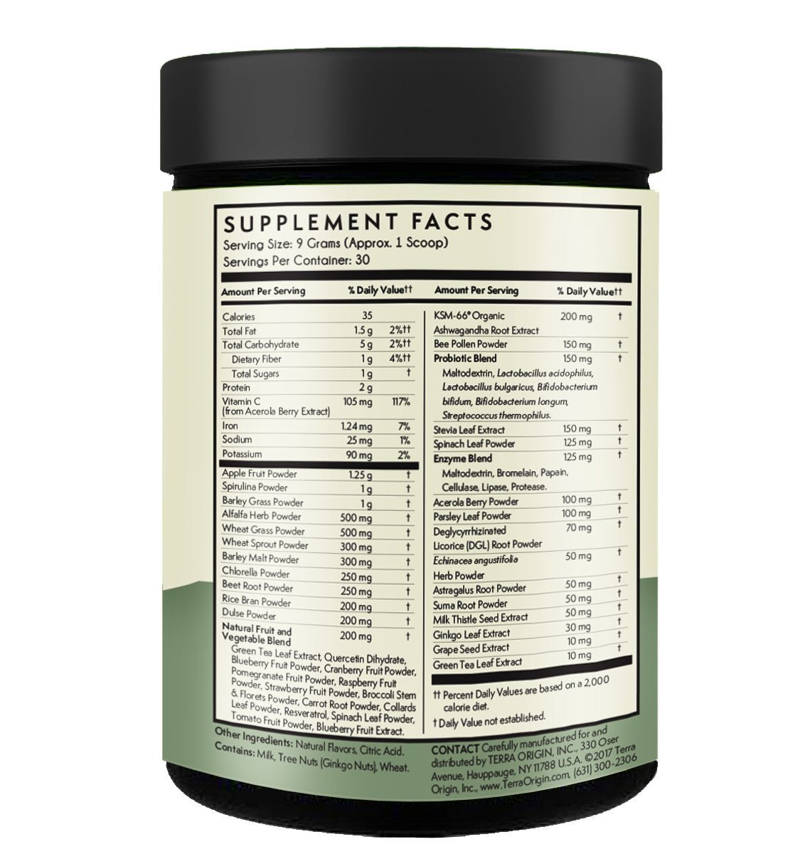 TERRA ORIGIN Greens Powder with Probiotics & Ashwagandha – Digestive Enzymes, Gut Health, Immune Support | Mint | 30 Servings