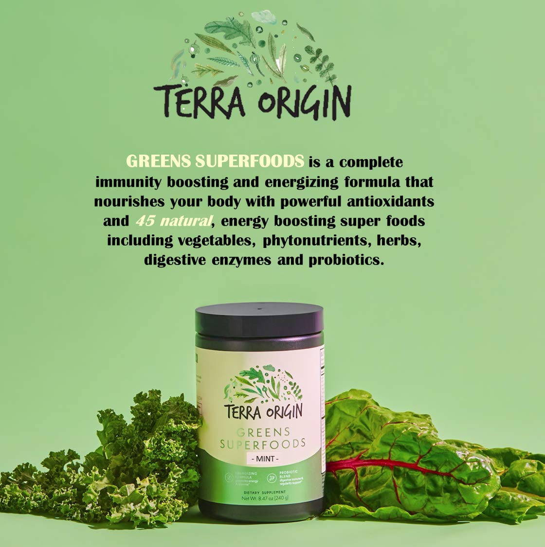 TERRA ORIGIN Greens Powder with Probiotics & Ashwagandha – Digestive Enzymes, Gut Health, Immune Support | Mint | 30 Servings