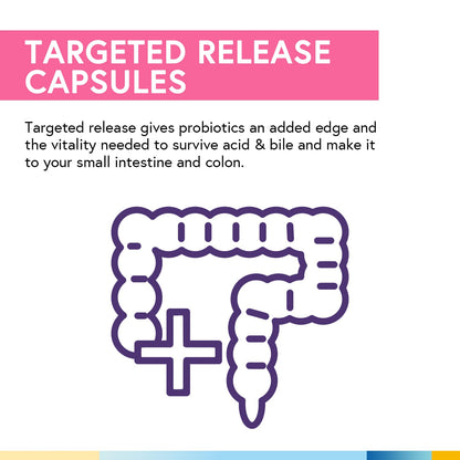Terranics Daily Probiotics for Women – 60 Vegan Caps, 200B CFU, 32 Strains | Cranberry & Prebiotics