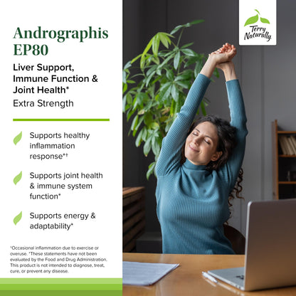 Terry Naturally Andrographis EP80 Extra Strength – Brain Health & Immune Support (Pack of 2)