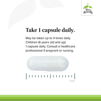 Terry Naturally BioActive Magnesium Complex - Bone & Heart Health Support - 60 Vegan Capsules (Pack of 2)