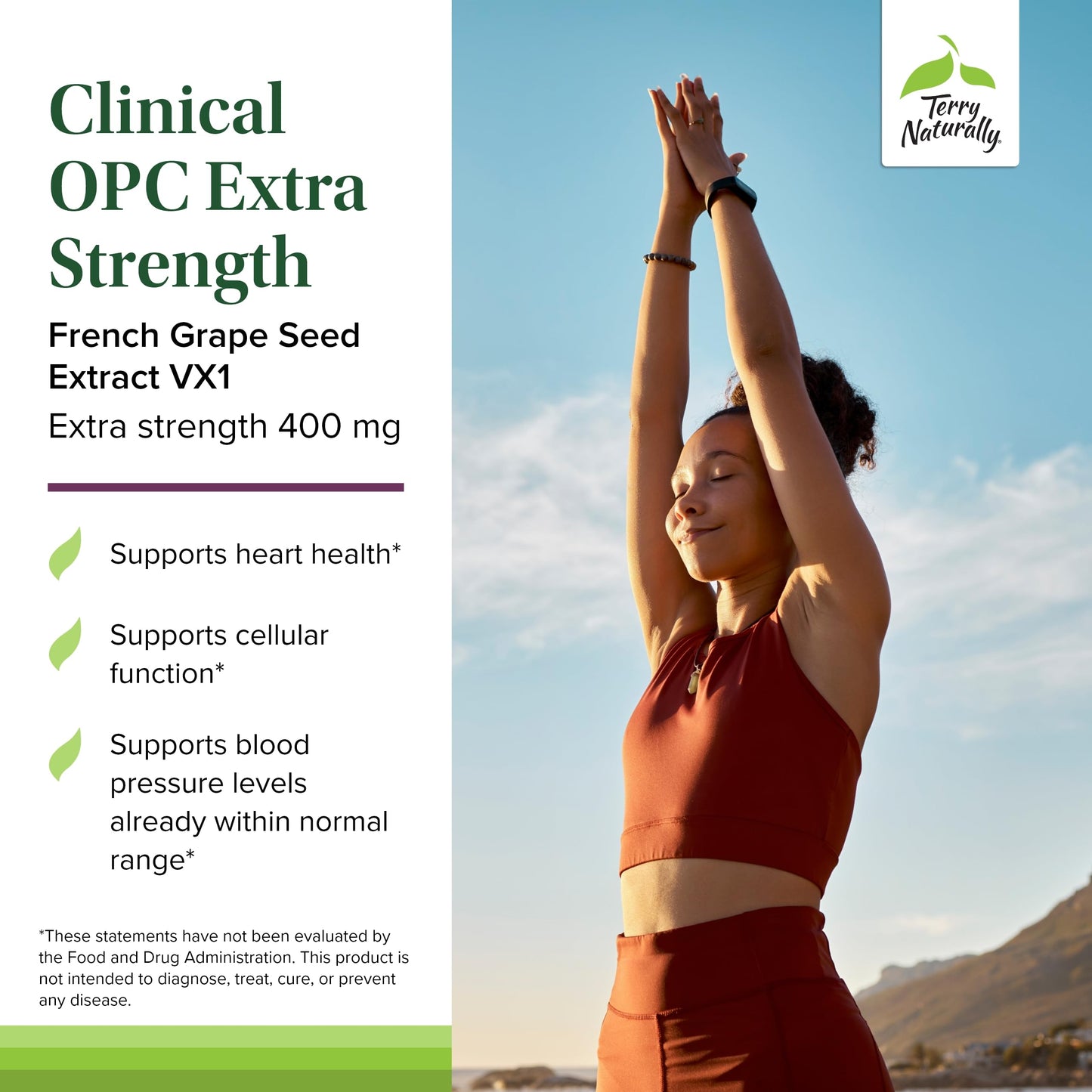Terry Naturally Clinical OPC Extra Strength – Cardiovascular Health & Focus (60 Softgels Pack of 2)